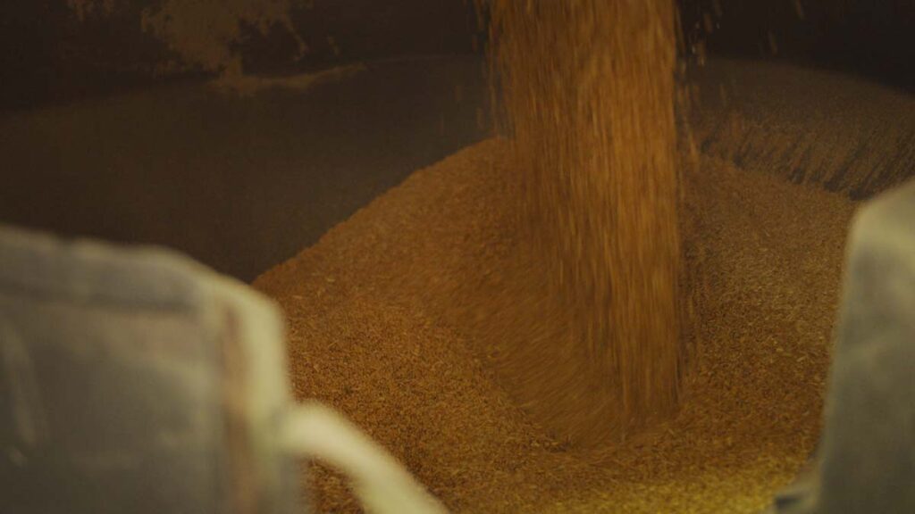 Milling durum semolina