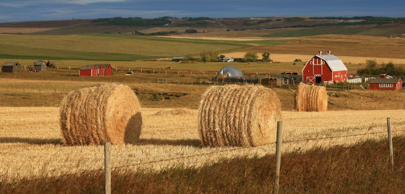 Thank You Alberta Farmers - Let's Pasta