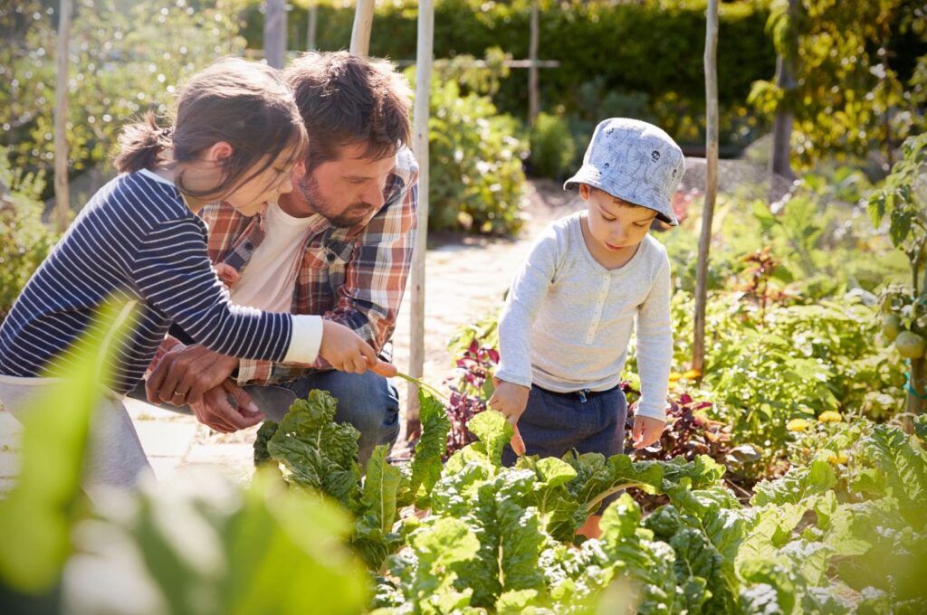 Children in a garden, learning where their food comes from.